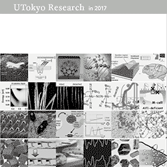 UTokyo Research